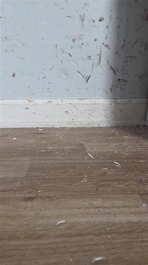 Destwoying Some more Muggys :3