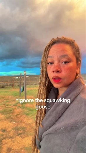 #survival #prepping #shtf #bugout | Prepping Survival