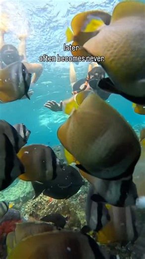 Maria Polymeropoulos on Instagram: "All we have is now. Live it with those who matter. Bye 2025."