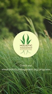 Holistic Grazing Planning @holisticmanagement #regenagriculture #soilhealth #soilhealt #holisticmanagement #biodiversity | Holistic Management International