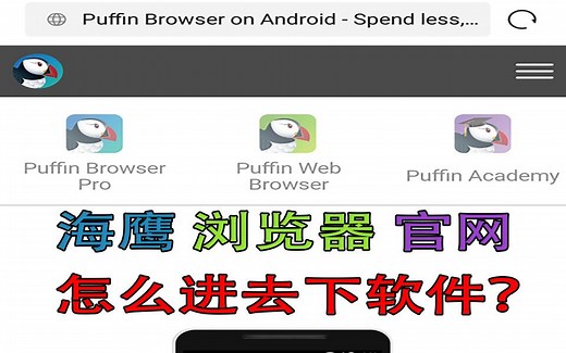 海鹦浏览器官网怎么进？怎么下载官网的海鹰浏览器？puffin浏览器