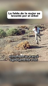 La falda de la mujer se levantó por el árbol | Coño Sí.