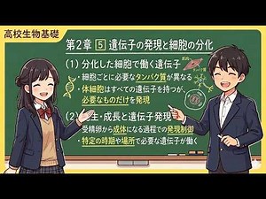 [Gene Expression and Cell Differentiation] "Basic Biology" Chapter 2: Genes and Their Functions [5]