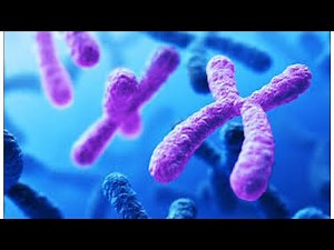 Introduction to Genetics