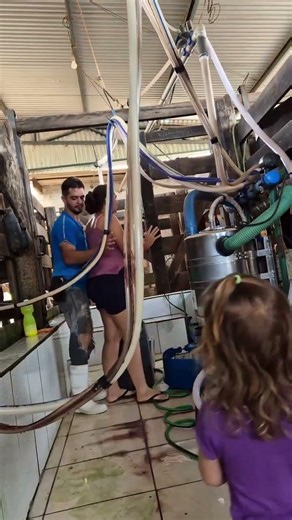 "Wait… What Just Happened? 😳 Funny Unexpected Moment Caught on Camera!" #villagelife #cow #rurallife