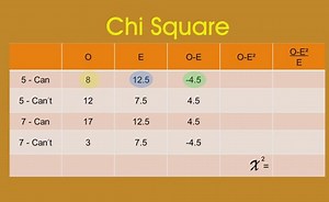 How to Calculate: Chi Square