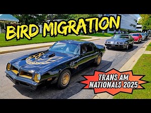 🦅 Pontiac Firebirds Flock to the 2025 40th Anniversary Trans Am Nationals Car Show in Fairborn, Ohio