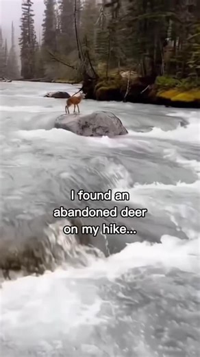 ヤマトさん on Instagram: "Yamato’s Mars Campout and the Raging River The Martian sunset cast long, rust-colored shadows across the Asmesteus Forest, a biodome of engineered terrestrial life nestled in one of Mars’s deep canyons. Yamato, a veteran xenobotanist and nature enthusiast, was in the middle of preparing his synth-fire for dinner. The air, recycled but smelling faintly of pine and Martian dust, was still and quiet. Suddenly, a distressed bleating cry cut through the silence. Yamato grabbed hi