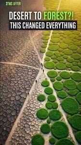 From Dead Soil to Green Life 🌱 Massive Restoration