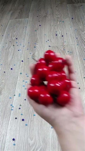 Best Video Compilation from the Internet