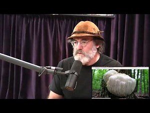 How to Cure Alzheimers and Dementia - Paul Stamets