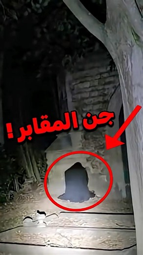 Terrifying videos caught on camera that are literally scary😱 #horror #realhorror #explore #horror...