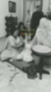 68K reactions · 4.3K shares | Asil Khan on Reels | Facebook