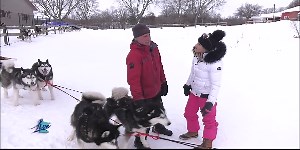 Silent Run Adventures Dog Sled