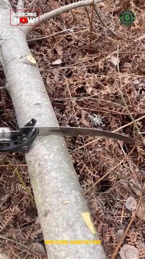 Battery Operated Saw Machine