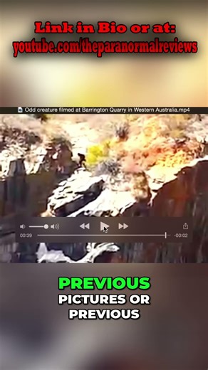 Bigfoot Caught? Suspicious Filming Stops & Excuses Debunked! #shorts