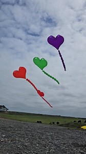 At the Wakanui Beach fly, Stephen Cook flew his DIY Hearts close together off the same length lines. Letting them bang into each other. It was a cool way to fly them. So good to see people out flying their finished DIY Heart Kites. | Peter Lynn Kites