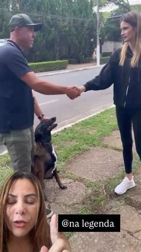 Andreia Menezes | Criadora de Conteúdo UGC Brasil on Instagram: "treinamento de proteção e obediência avançada, e é bem interessante mesmo 👀🐕 Vou explicar sem ensinar comando, só o conceito, ok? Esse pastor alemão passa por um treino muito sério, baseado em controle, confiança e leitura de sinais. Nada ali é aleatório. Primeiro vem o reconhecimento: o cão cheira a pessoa, entende quem ela é, sente o cheiro, o estado emocional. Isso cria referência. Depois, os comandos de posição: deitar, levan