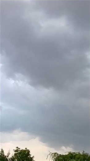 #trending #beautiful #viralshort #nature #viral