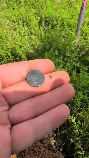 Two coins from 1854 on the SAME DAY!! #metaldetecting #treasuresearch #metaldetector