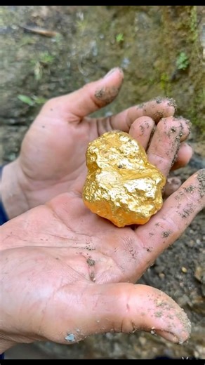 The process of finding gold | finding gold in bedrock fragments | finding gold nuggets worth $9999😱