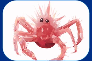 Top Marine Stories and Posts You Loved in 2025