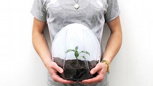 Sure, Why Not Pretend To Be Pregnant With a Tree Baby?