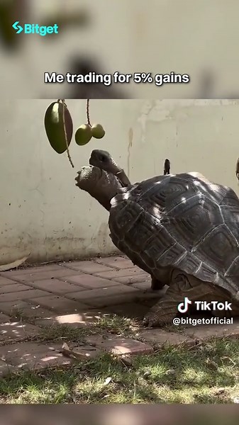 Understanding Trading Challenges: When 5% Is Hard To Get