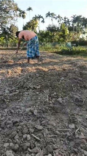 pram je gadha pram je boka #shortvideo