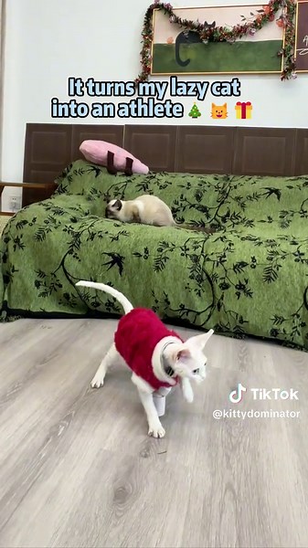I thought all cat teasers were the same… until I tried this auto-spinning one,my cats love this christmas gift so much!Just go grab one for your lazy cat！#cattoys#catparent#catsoftiktok#tiktokmademebuyit