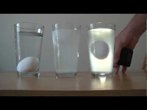 Floating Egg Experiment