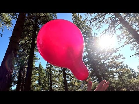 Red Balloons Inflating, Bouncing, Floating, Fly Away, NonPop, 4K, Forest Balloon Non-Pop 22
