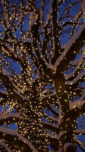 Revelstoke Mountain Resort on Instagram: "Tomorrow night Nov 28, the base of the resort comes alive! ✨ Enjoy a night packed with lights, music, live entertainment, axe throwing, drinks, fire pits, and s’more stations. The fun kicks off at 5 PM, with something for everyone, then join us at 8 PM sharp for the Light-Up and prize draws! 🎉 Cap off the night at The Mac After Party with a live DJ and happy hour specials."