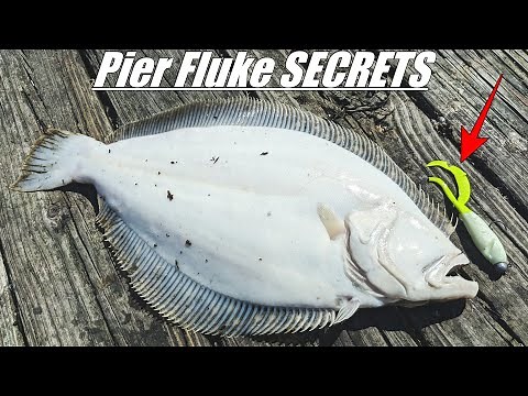 PIER FLUKE JIGGING - A Breakdown - Flounder Fishing 2024!