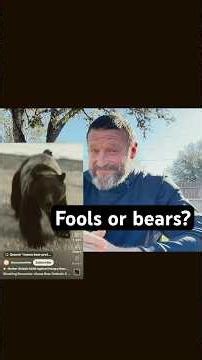 It’s Safer to Face a Bear Than a Fool (Proverbs 17:12 Explained)