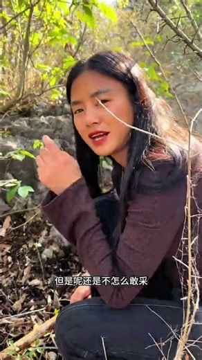 Uncover the Secret of the Mountain: Mysterious Plant You Can't Miss