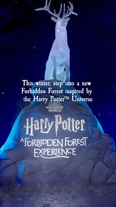 12K views · 20 reactions | An illuminated nighttime walking trail is now open in Leesburg, VA!✨ | Harry Potter: A Forbidden Forest Experience | Facebook