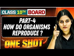 Female reproductive system and Contraceptive Methods || Biology || 10th class science