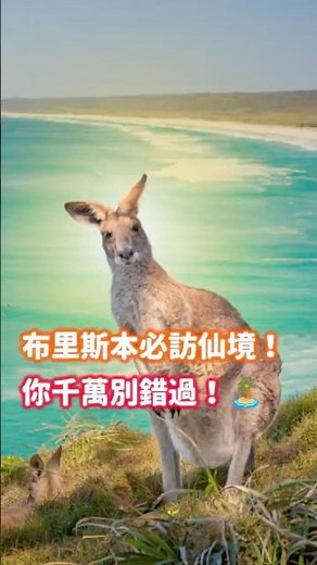 澳洲布里斯本1.5小時車程✨帶你進到人間仙境🏝️ #澳洲留學生 #澳洲生活 #澳洲打工度假 #布里斯本打工度假 #昆士蘭 #昆士蘭旅遊 #昆士蘭景點 #布里斯本旅遊 #布里斯本景點
