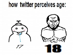 How Twitter Perceives Age | Fallenchungus
