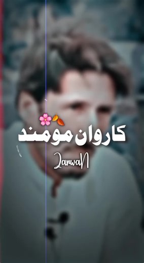 Heartfelt Pashto Poetry for Healing and Love