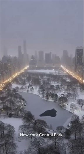 Time-Lapse of Snowfall in Central Park