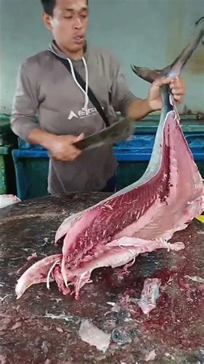 Pesona golok tajam bro Wandi fillet tuna ukuran sedang #fishcutting #fish #food#subscribe #fyp