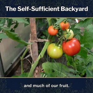 More families than ever are planting backyard gardens. Nothing tastes as good as homegrown produce. Plus it feels so good to serve REAL food at the family dinner table. Ron and Johanna have been growing all of their food for the last 40 years. Now you can get all their best strategies for creating a backyard that supports self-sufficiency. They had to grow and preserve their food in the short growing season of Saskatchewan without access to the high priced bags of soil from any garden supply sto