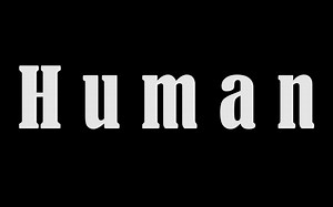 【Unity动画公益广告】Wild Animal