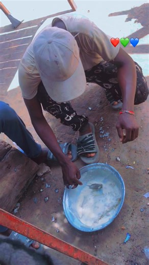 Vidéos de bb alpha😘 (@bb.alpha2) avec son original - Ndiaye éleveur