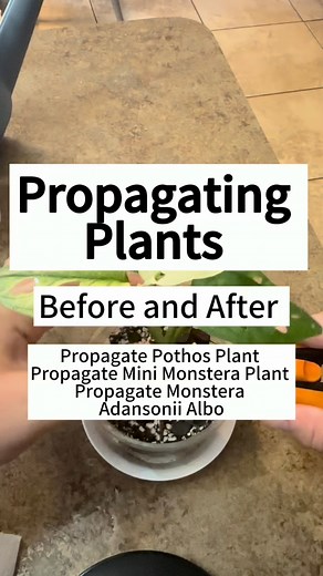 11K views · 141 reactions | Here is a throwback video of how I...