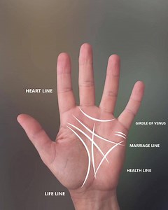 352 reactions · 104 shares | Believe it or not. Actually your #sign and #palms have decided your personalities and future! Alpha Horoscope can help you control them now and future! #FREE GET!☸❂☯☸☭ | Sungy Mobile | Facebook