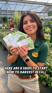 1.2K views · 21 reactions | Fall Vegetable Seeds to Plant Now! ...