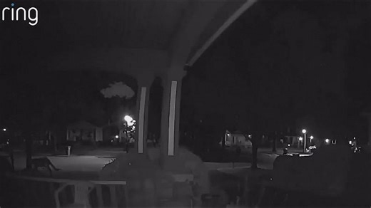 Rochester mountain lion?